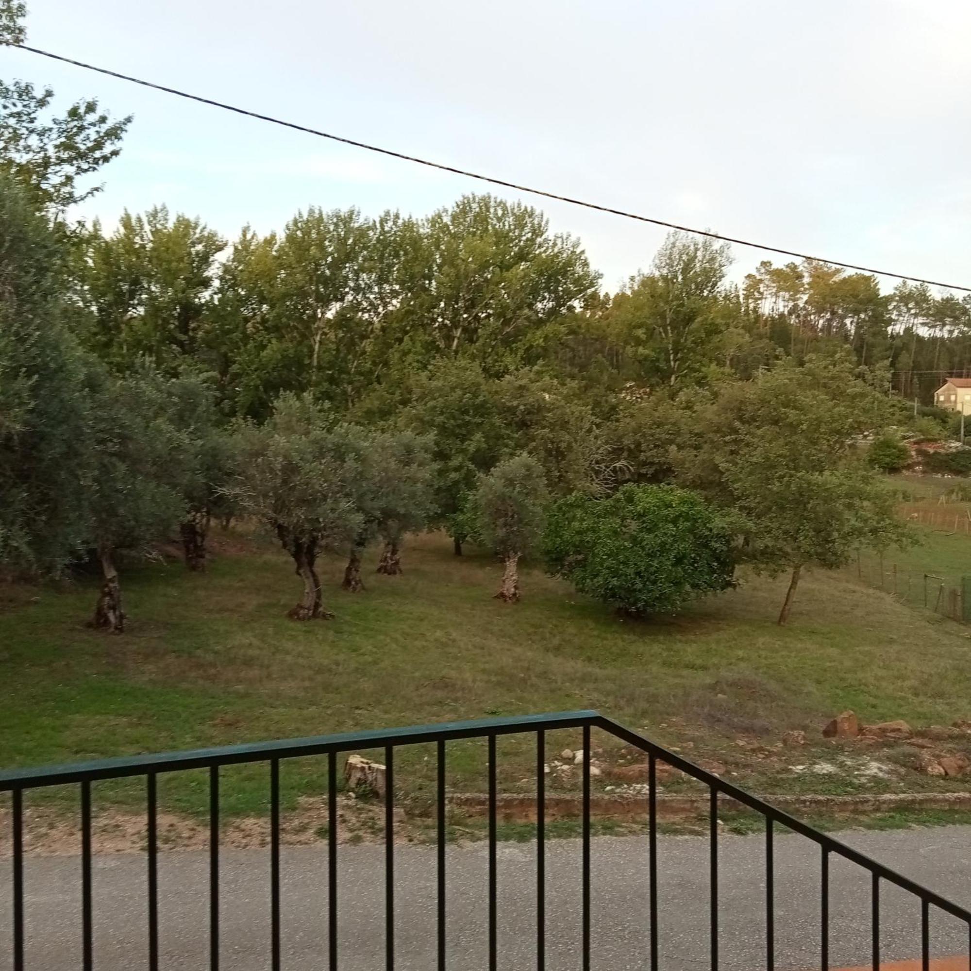 Alojamento Local - Casa Amarela Alvaiazere ภายนอก รูปภาพ